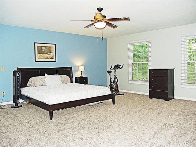 850 Ivy Trace, Ballwin, MO 63021