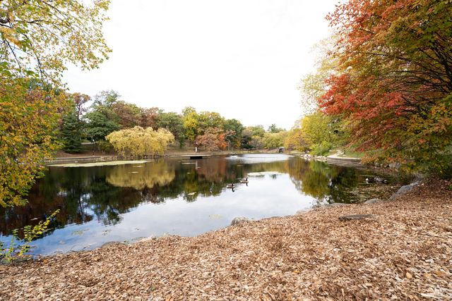 774 Terrace Court T, Elgin, IL 60120