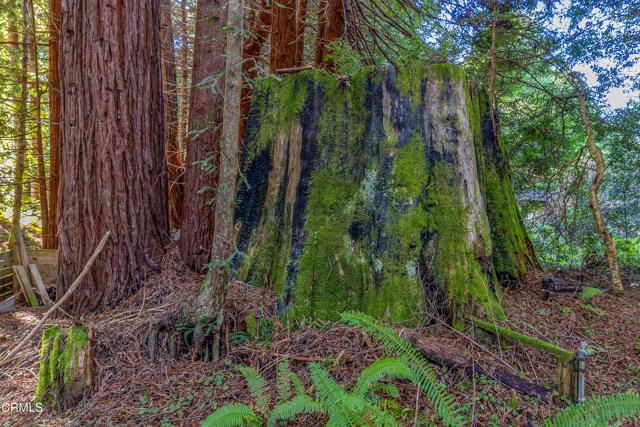 44720 Jack Peters Creek Road, Mendocino, CA 95460