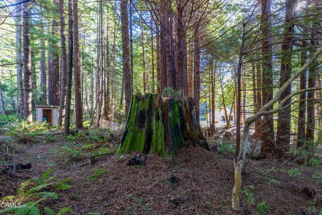 44720 Jack Peters Creek Road, Mendocino, CA 95460