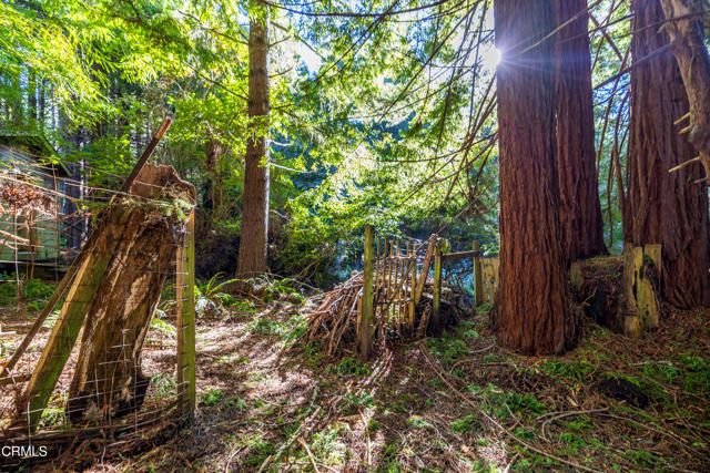 44720 Jack Peters Creek Road, Mendocino, CA 95460