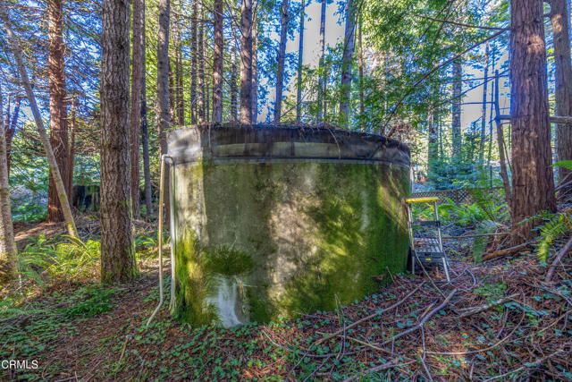 44720 Jack Peters Creek Road, Mendocino, CA 95460