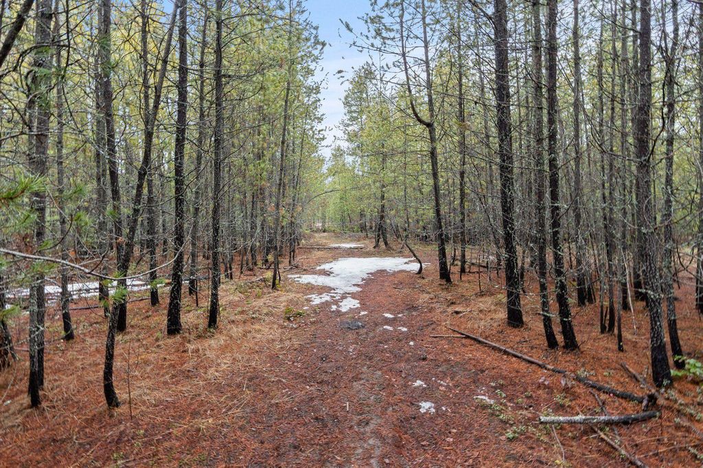 1255 Northshore Diamond Lake Rd, Newport, WA 99156 photo 5