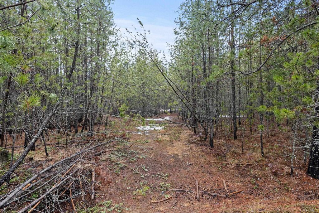 1255 Northshore Diamond Lake Rd, Newport, WA 99156 photo 6