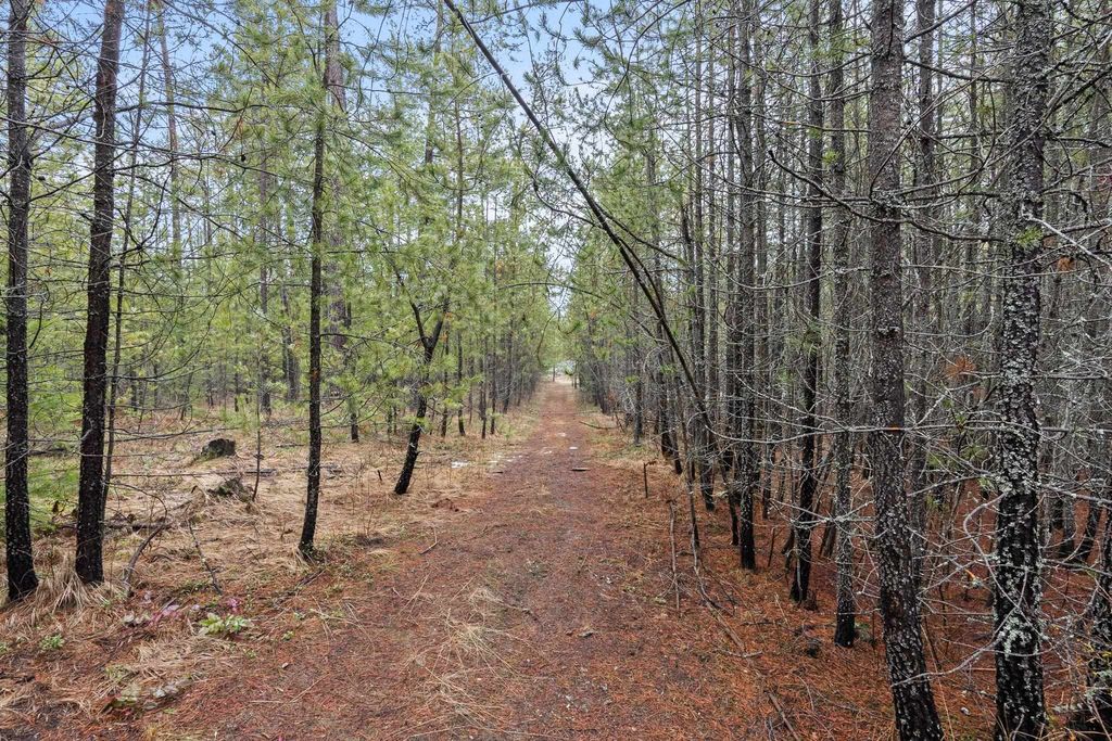 1255 Northshore Diamond Lake Rd, Newport, WA 99156 photo 7