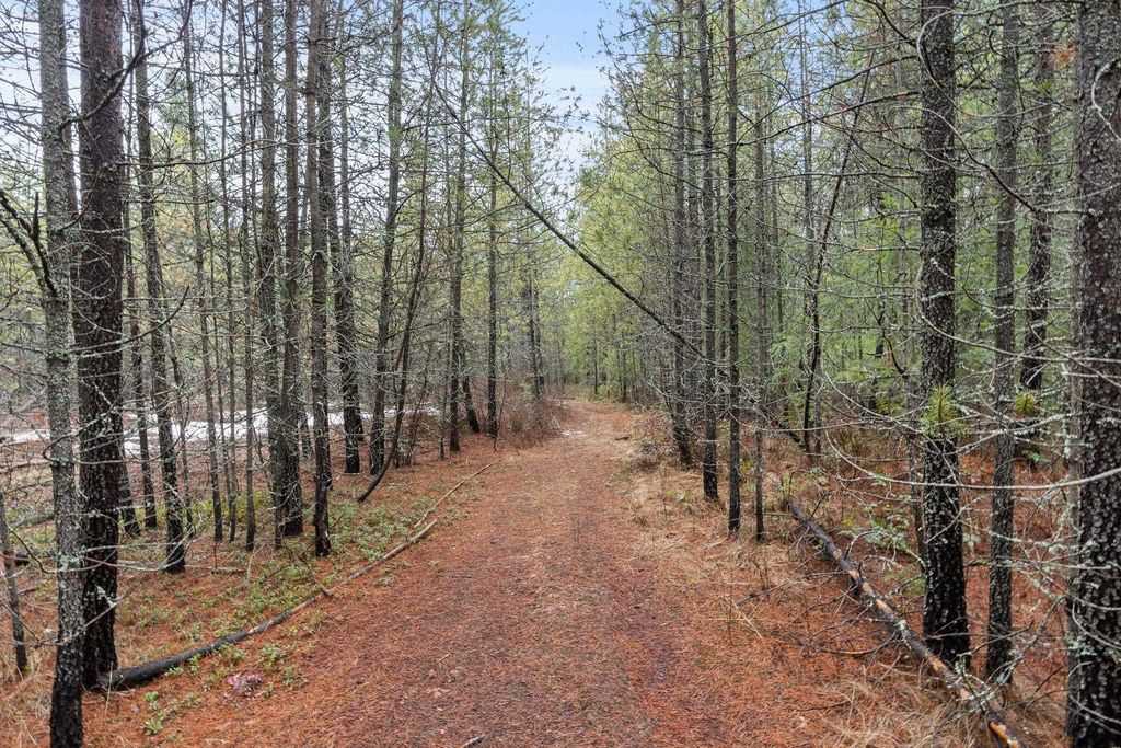 1255 Northshore Diamond Lake Rd, Newport, WA 99156 photo 8