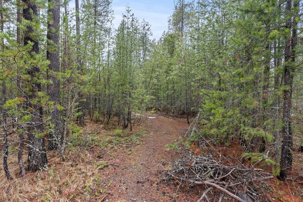 1255 Northshore Diamond Lake Rd, Newport, WA 99156 photo 9