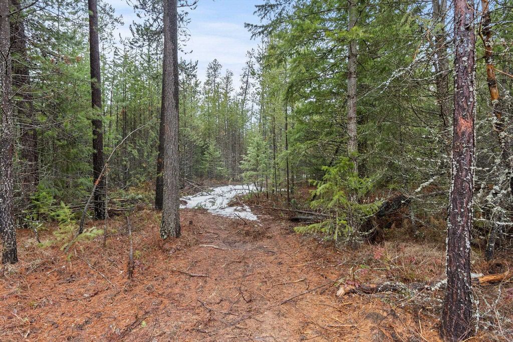 1255 Northshore Diamond Lake Rd, Newport, WA 99156 photo 10