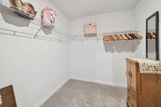 13603 WILD GINGER STREET, Riverview, FL 33579