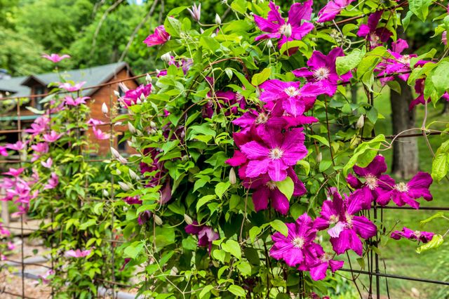 27 Bussell Ln, Gordonsville, TN 38563