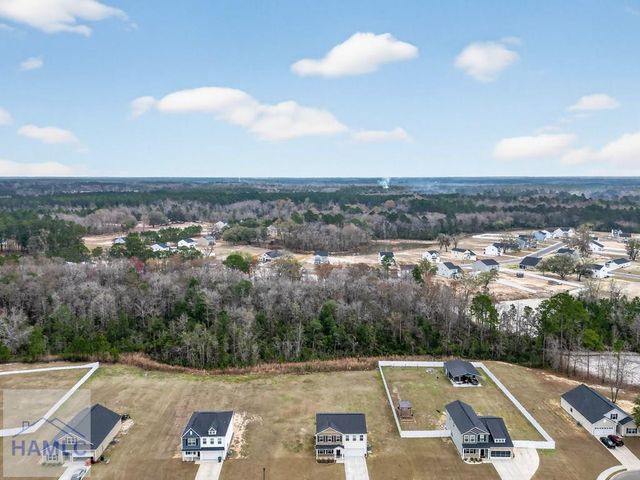 99 Blueberry Court NE, Ludowici, GA 31316