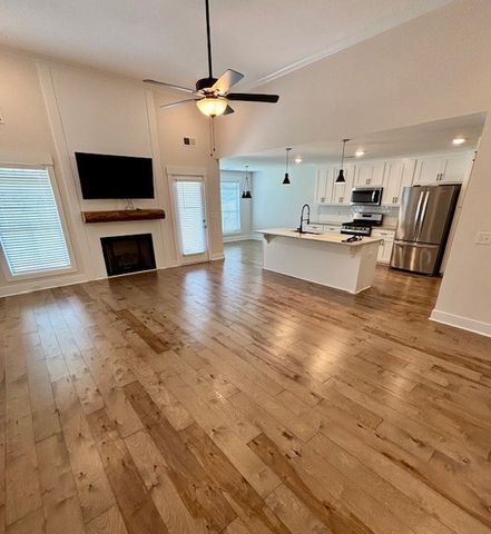 905 Frog Gip Pond Ct, Clarksville, TN 37043