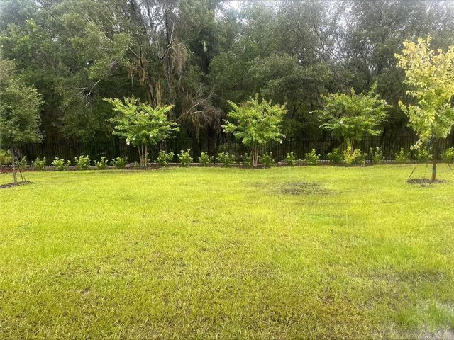 1026 SWAMP CHESTNUT LOOP, Lady Lake, FL 32159