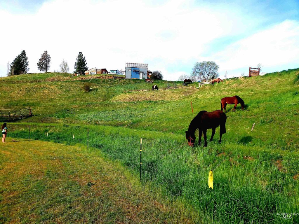 28 Harris Creek Rd, Horseshoe Bend, ID 83629 photo 12