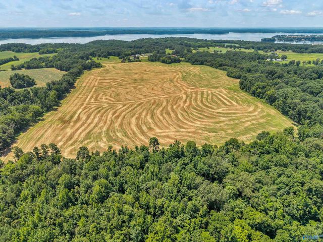 1 Snake Road, Athens, AL 35611
