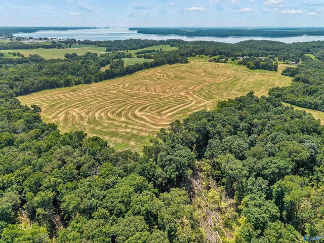 1 Snake Road, Athens, AL 35611