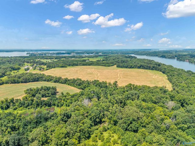 1 Snake Road, Athens, AL 35611