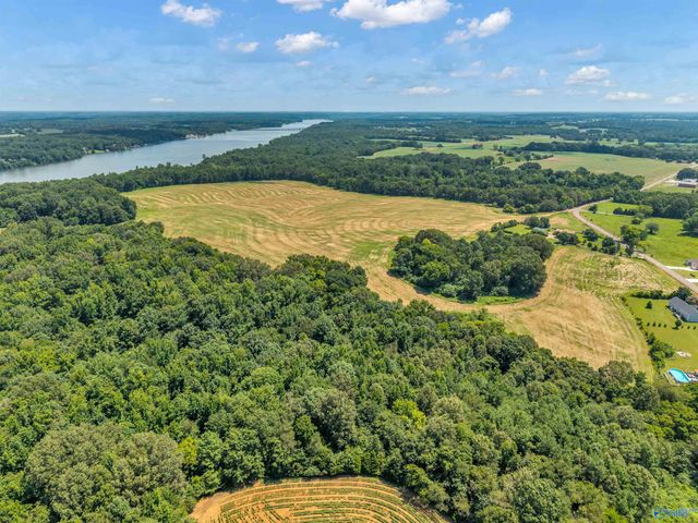 1 Snake Road, Athens, AL 35611