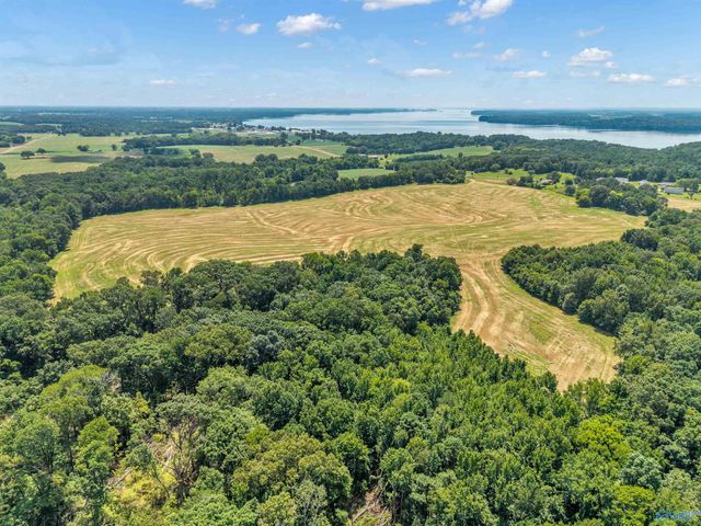 1 Snake Road, Athens, AL 35611