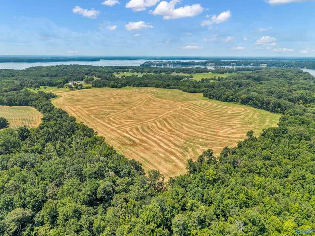 1 Snake Road, Athens, AL 35611