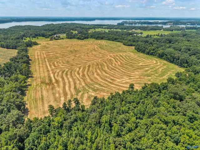 1 Snake Road, Athens, AL 35611