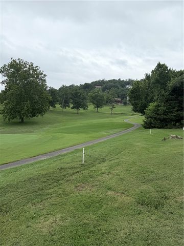 24 Appaloosa Drive, Holiday Island, AR 72631