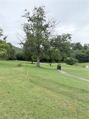 24 Appaloosa Drive, Holiday Island, AR 72631