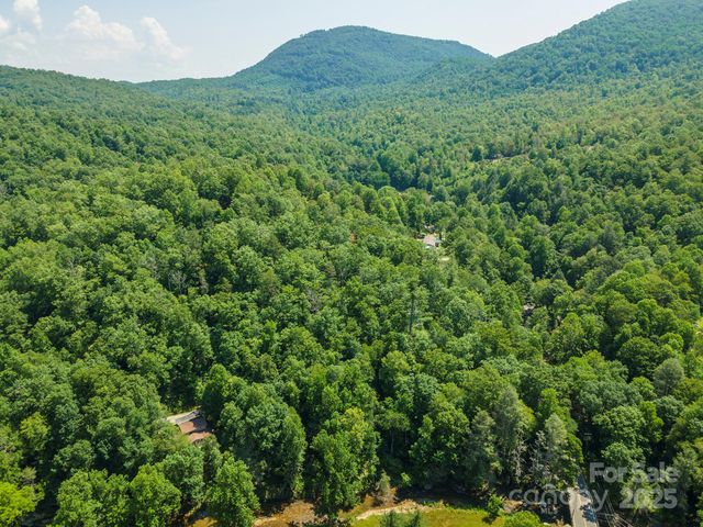 11 Roy Lane, Black Mountain, NC 28711
