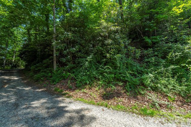 11 Roy Lane, Black Mountain, NC 28711