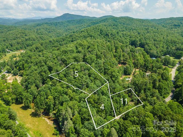 11 Roy Lane, Black Mountain, NC 28711