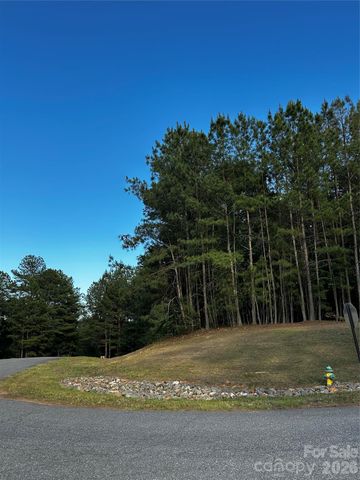 308 Harbor Watch Drive, Connelly Springs, NC 28612