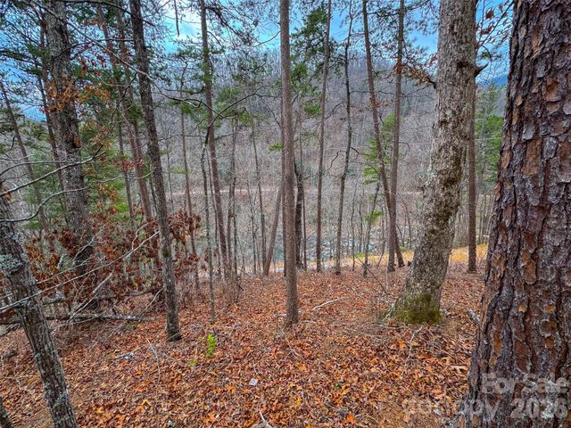 Lot 3 River Valley Estates 3, Whittier, NC 28789