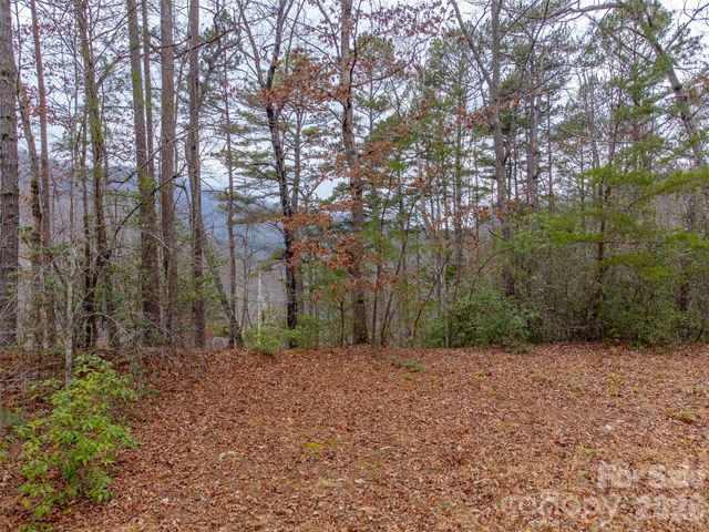 Lot 3 River Valley Estates 3, Whittier, NC 28789