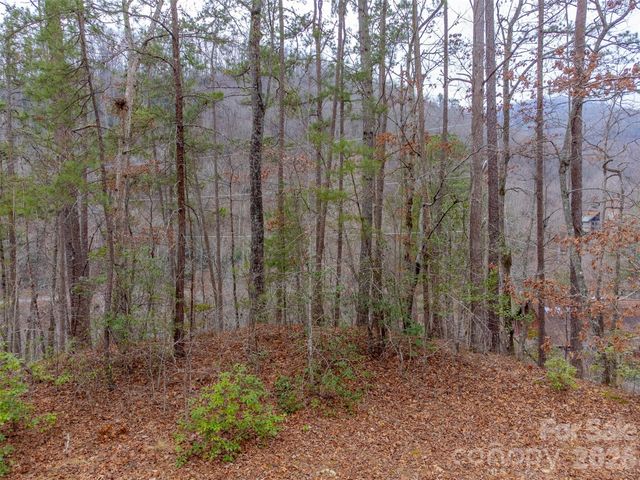 Lot 3 River Valley Estates 3, Whittier, NC 28789