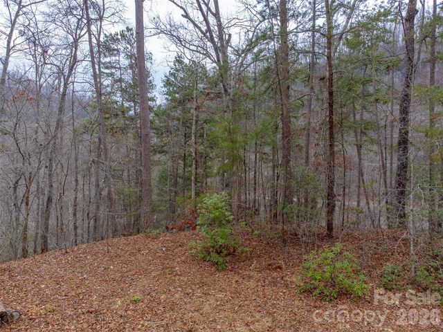 Lot 3 River Valley Estates 3, Whittier, NC 28789