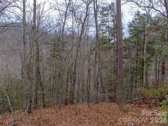 Lot 3 River Valley Estates 3, Whittier, NC 28789