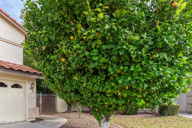 12803 N 57th Avenue, Glendale, AZ 85304