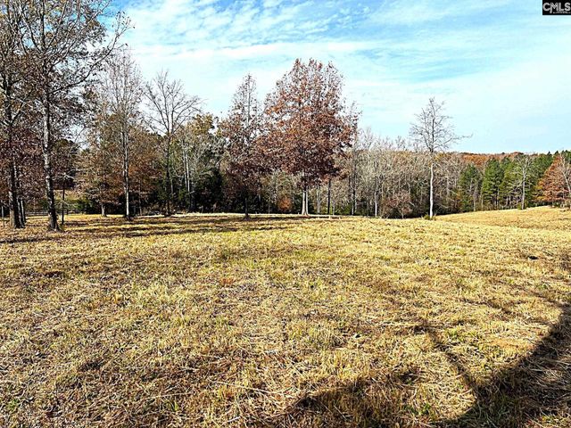 1230 SC Highway 202, Little Mountain, SC 29075