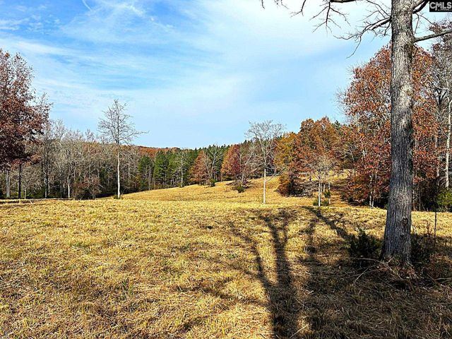 1230 SC Highway 202, Little Mountain, SC 29075