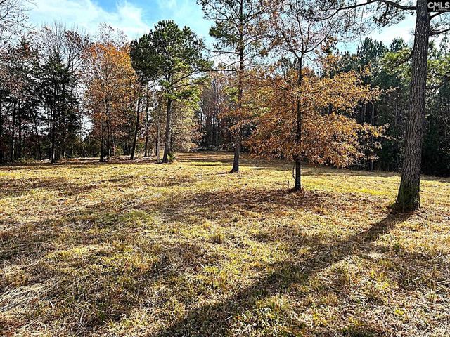 1230 SC Highway 202, Little Mountain, SC 29075