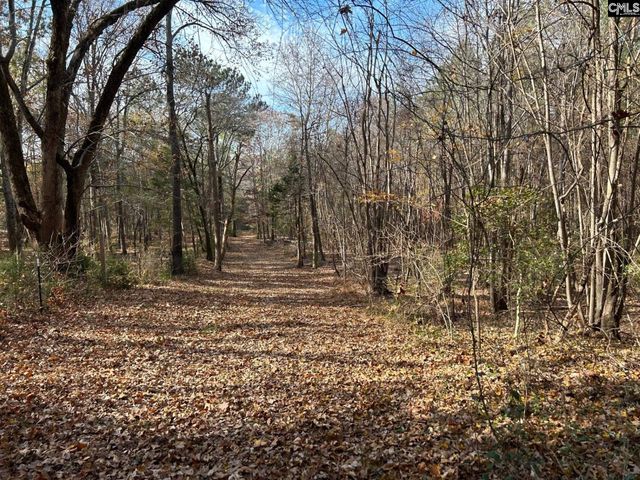 1230 SC Highway 202, Little Mountain, SC 29075