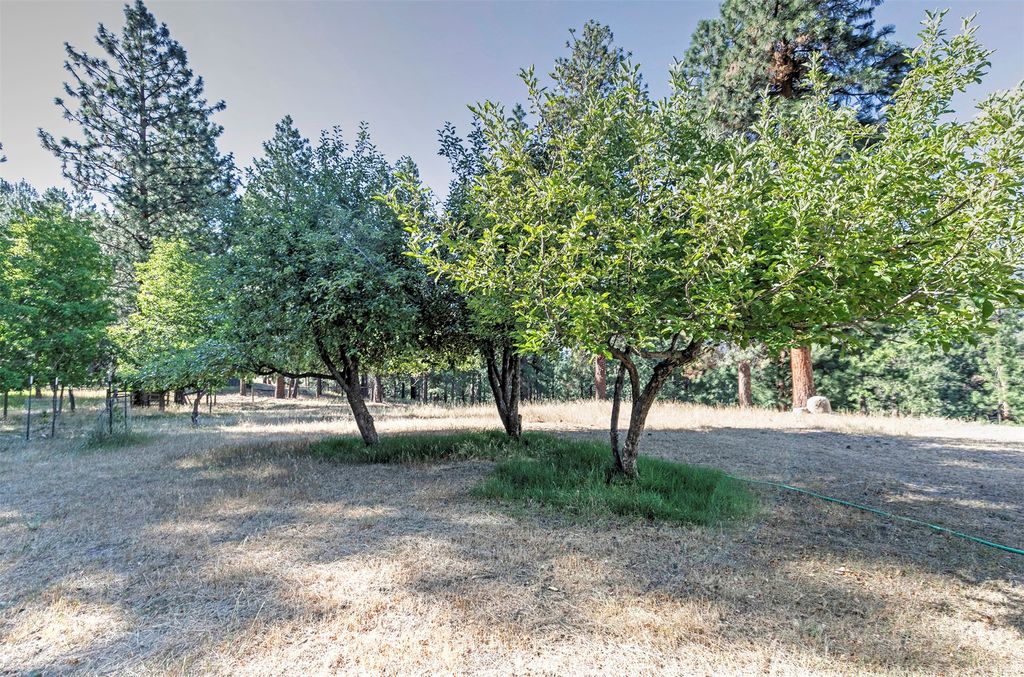 821 Fred Burr Road, Victor, MT 59875 photo 29