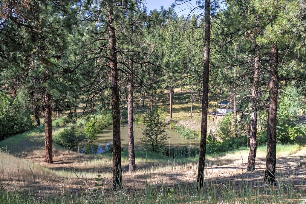 821 Fred Burr Road, Victor, MT 59875 photo 39