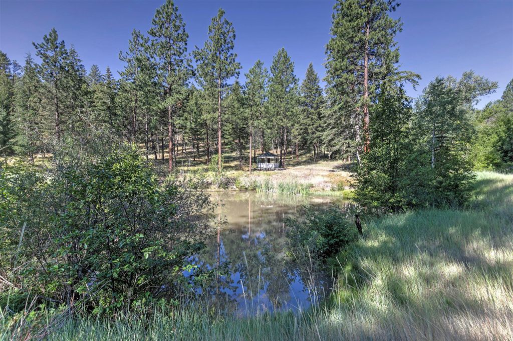 821 Fred Burr Road, Victor, MT 59875 photo 43