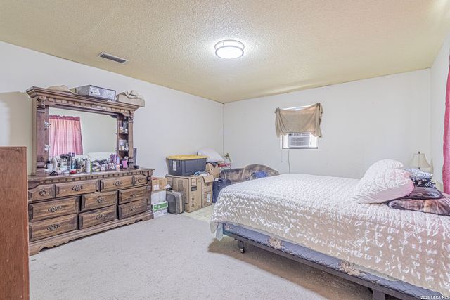 10805 Hollowell Rd, Atascosa, TX 78002