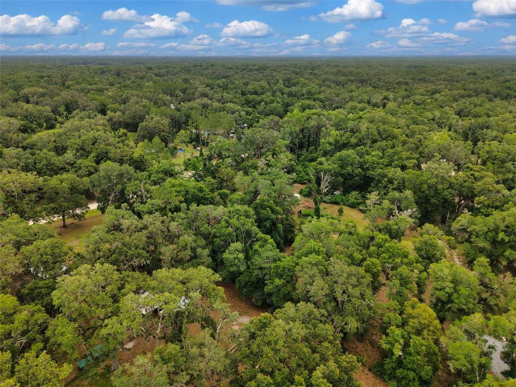 Image 15 of property listing at 109 NE 194TH AVENUE, Old Town, FL 32680