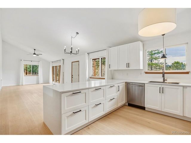 14 Aspen Dr, Bailey, CO 80421