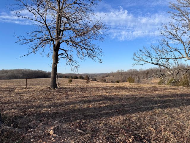 1461 Quail Spur, Crane, MO 65633