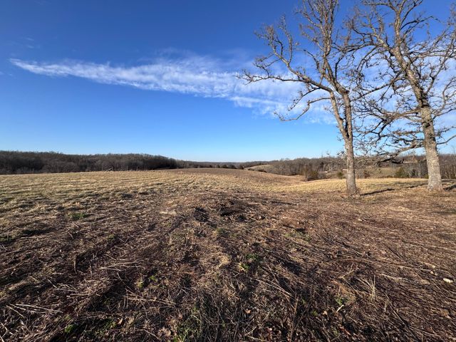 1461 Quail Spur, Crane, MO 65633