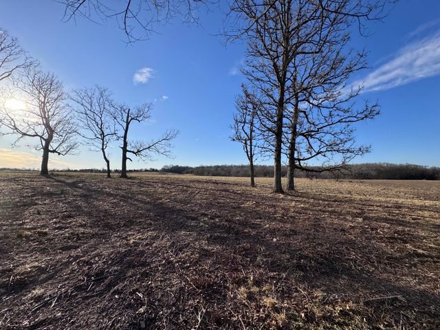 1461 Quail Spur, Crane, MO 65633